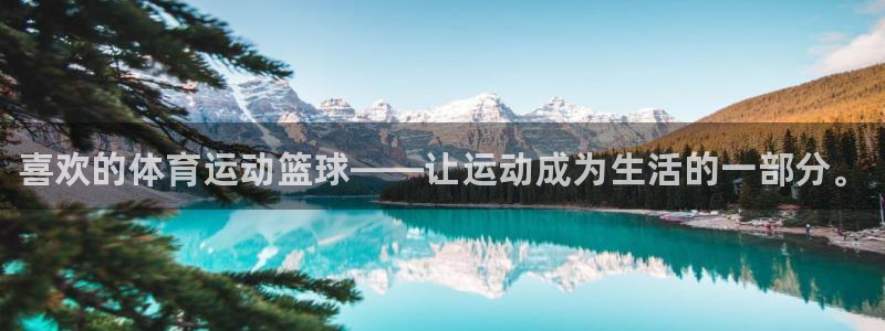 JJB竞技宝官方正版app集团logo:喜欢的体育运动篮球—