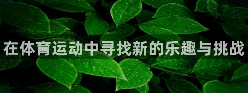 JJB竞技宝官网下载招商:在体育运动中寻找新的乐趣与挑战