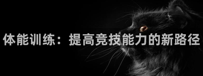 JJB竞技宝官方正版app官网:体能训练:提高竞技能力的新路