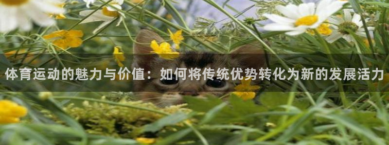 JJB竞技宝官网下载平台是正规平台吗:体育运动的魅力与价值: